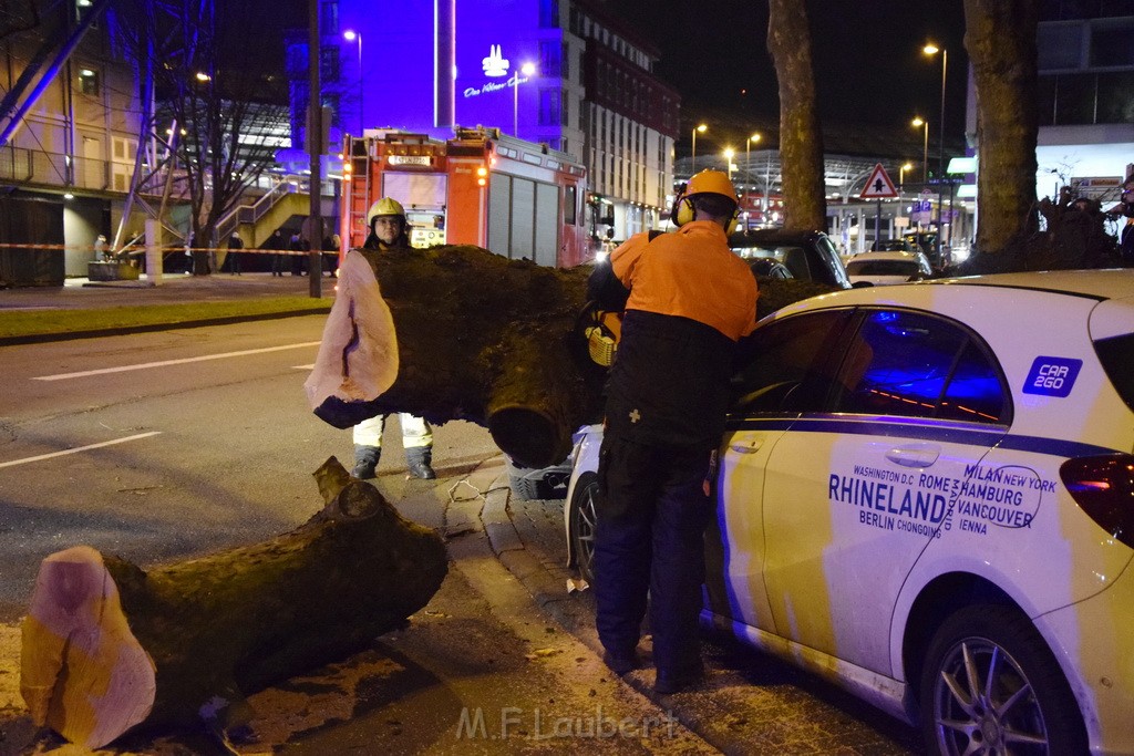 Baum auf PKWs Koeln Mitte Rheinuferstr Goldgasse P070.JPG - Miklos Laubert